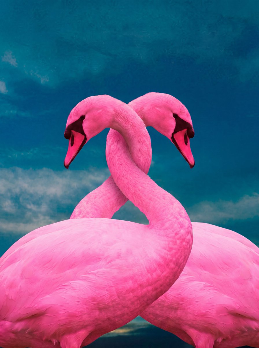 Prompt: A surreal, hyper-realistic photo manipulat — output 1