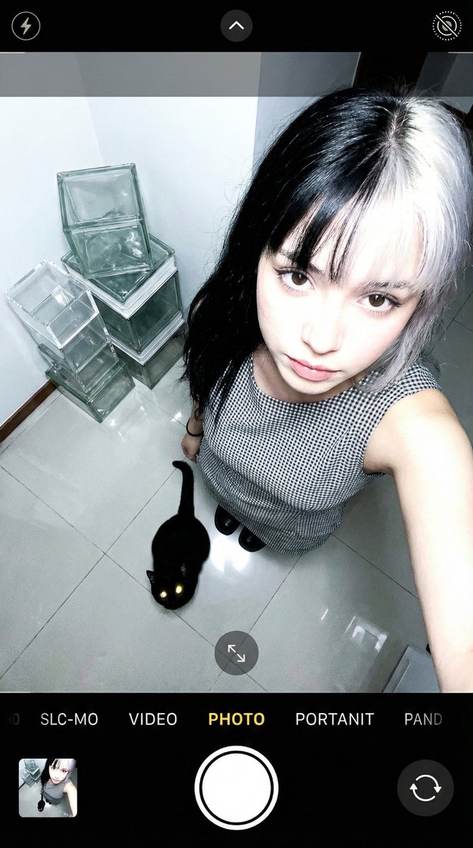 Profile / Avatar - Overhead Smartphone Selfie with Black Cat — output 1