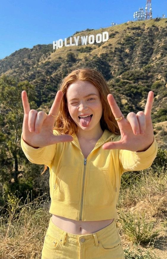 Social Media Post - Photorealistic Portrait of Sadie Sink on the Hollywood Hillside — output 1