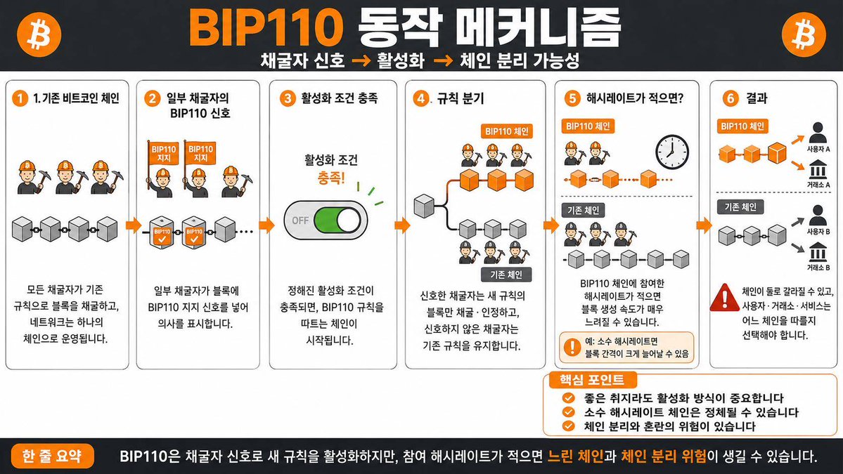 Infographic / Edu Visual - BIP110 Korean Infographic — output 1