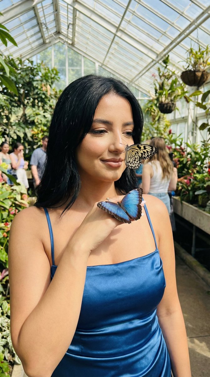 Social Media Post - Photoreal Cinematic Portrait in Butterfly Garden Prompt — output 1