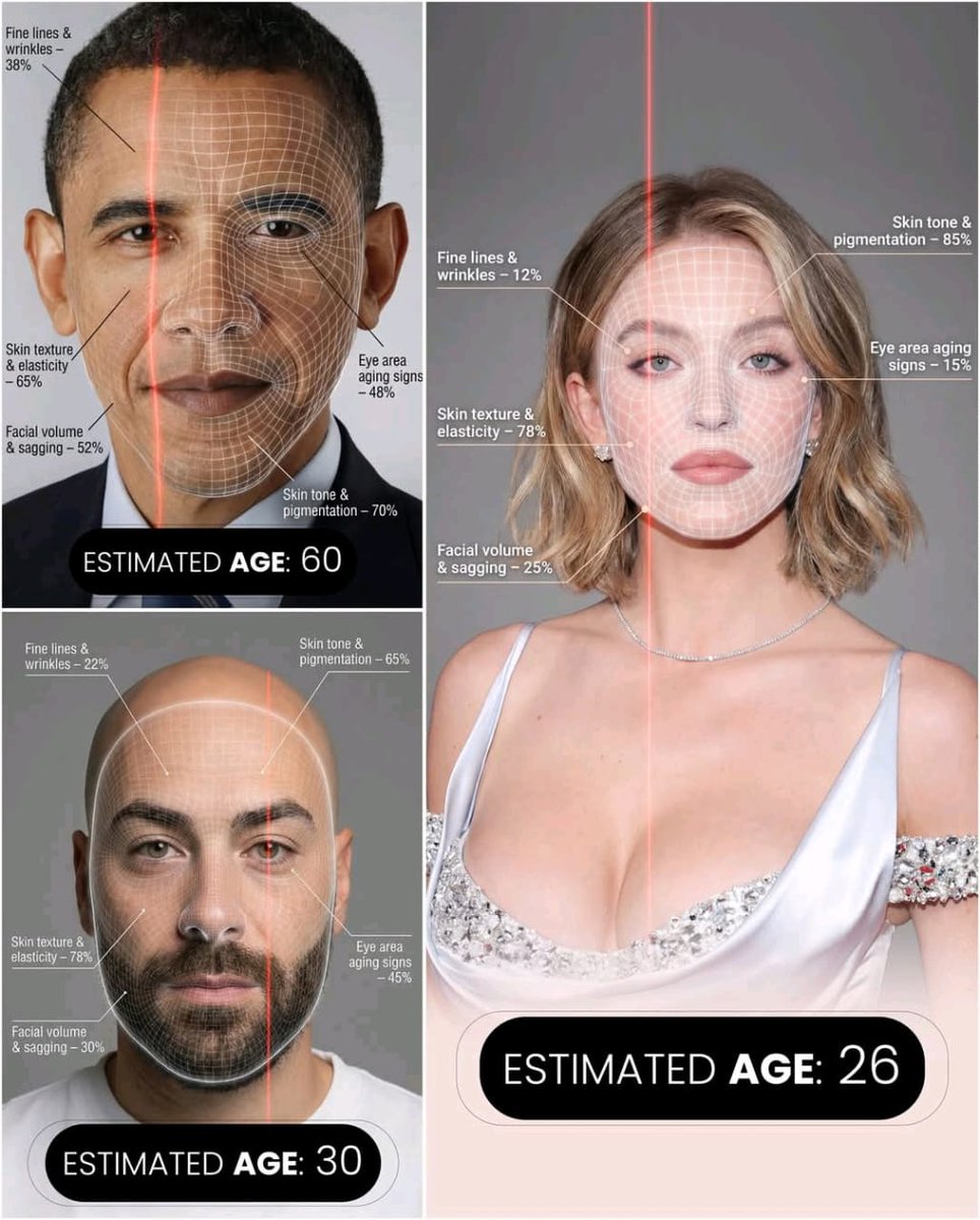 Infographic / Edu Visual - Futuristic AI Age Checker Infographic Portrait — output 1