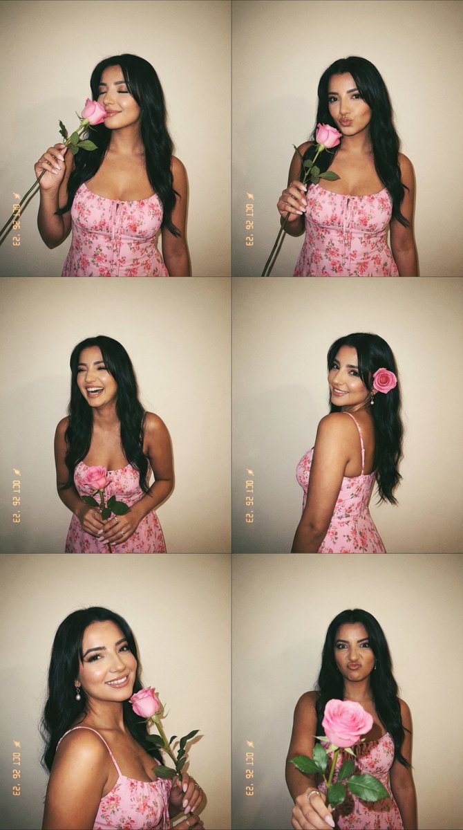 Profile / Avatar - 6-Panel Photobooth Grid with Pink Dress and Rose — output 1