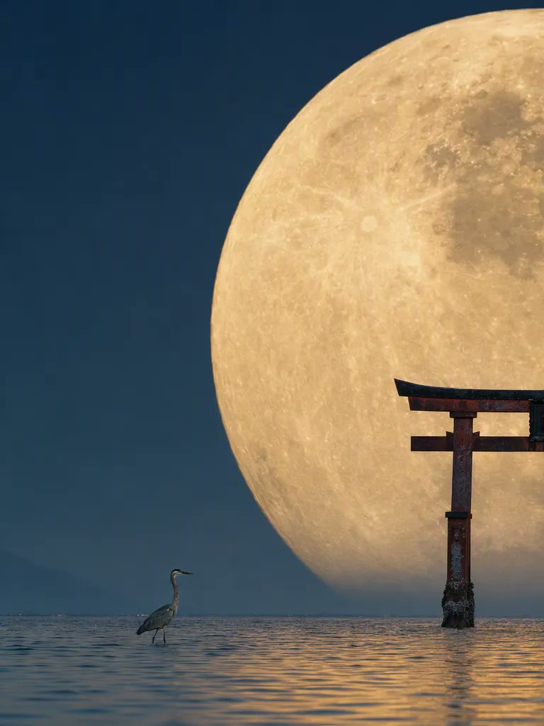 Social Media Post - Telephoto Moon and Torii Gate Photography — output 1