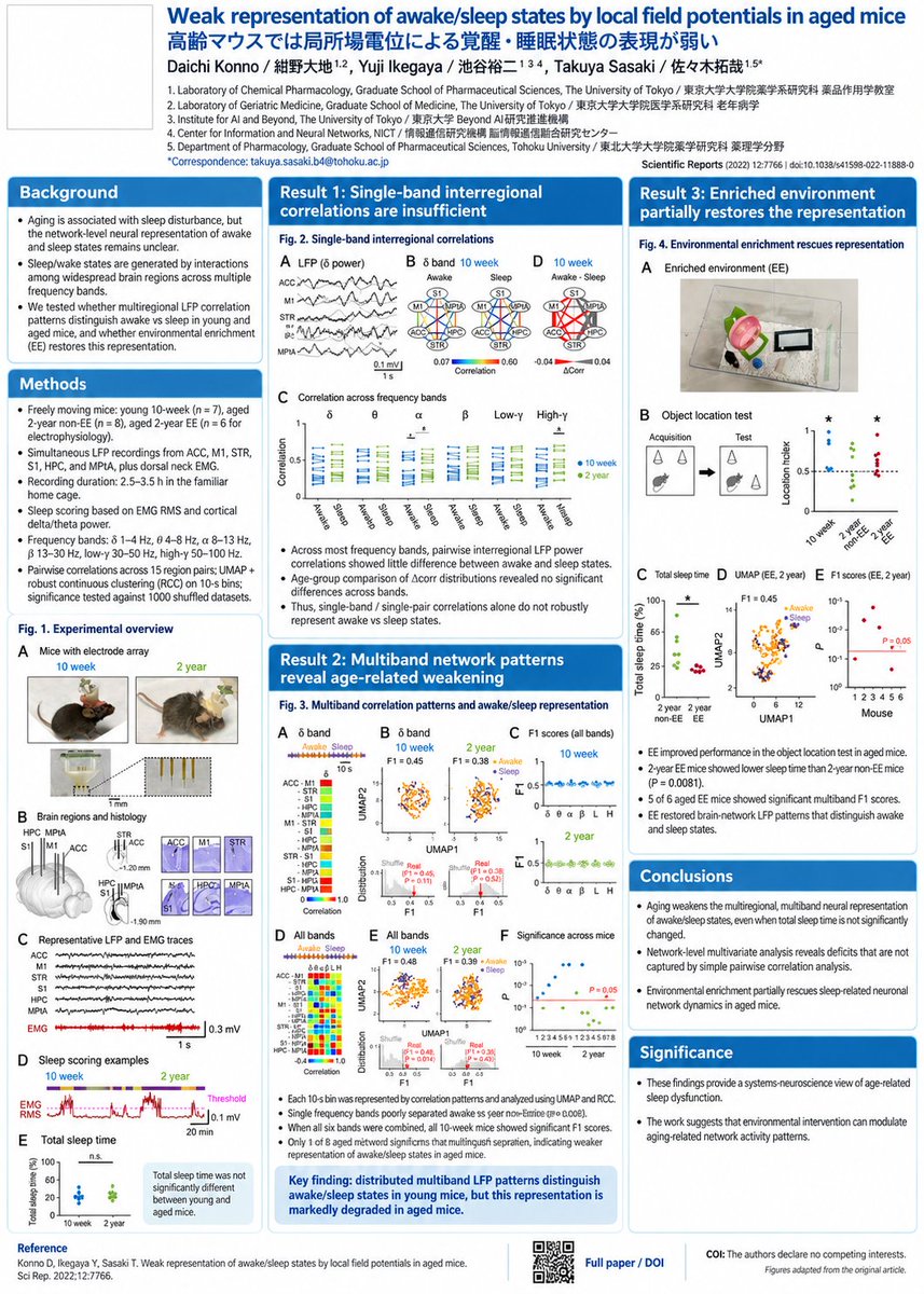 Infographic / Edu Visual - Research Paper Academic Poster — output 1