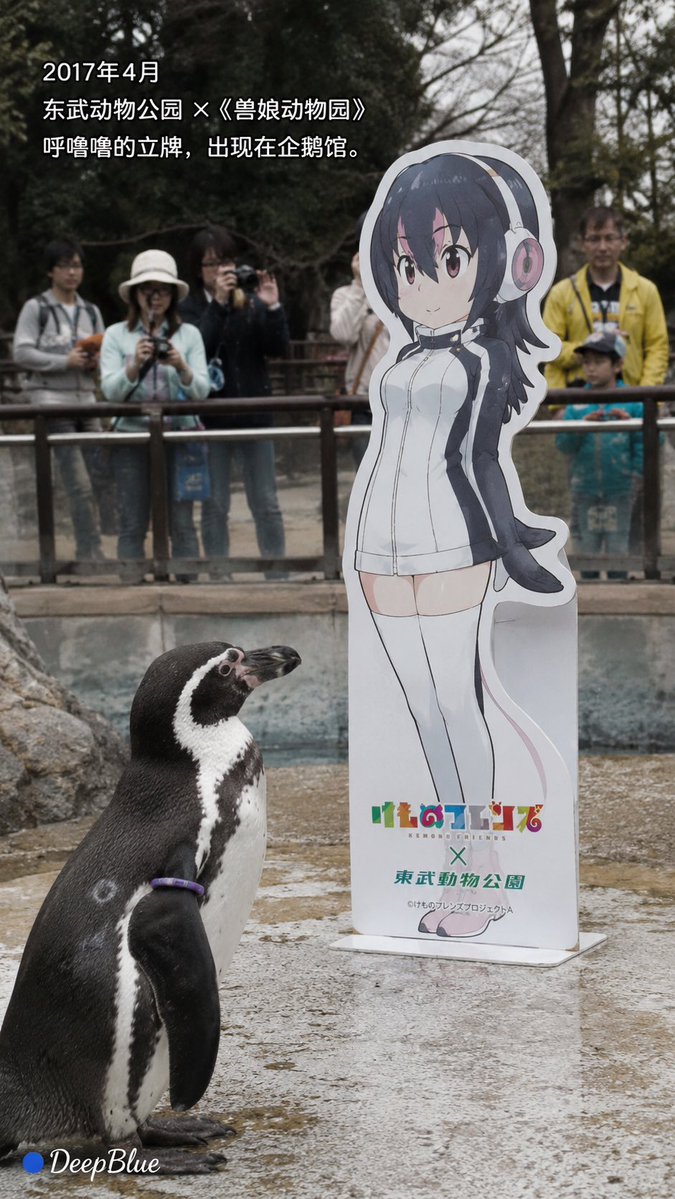 Infographic / Edu Visual - Documentary Photo Sequence of Penguin Story — output 1