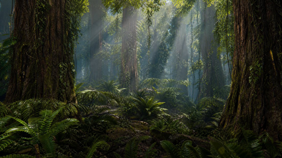 Infographic / Edu Visual - Prehistoric Redwood Jungle — output 1