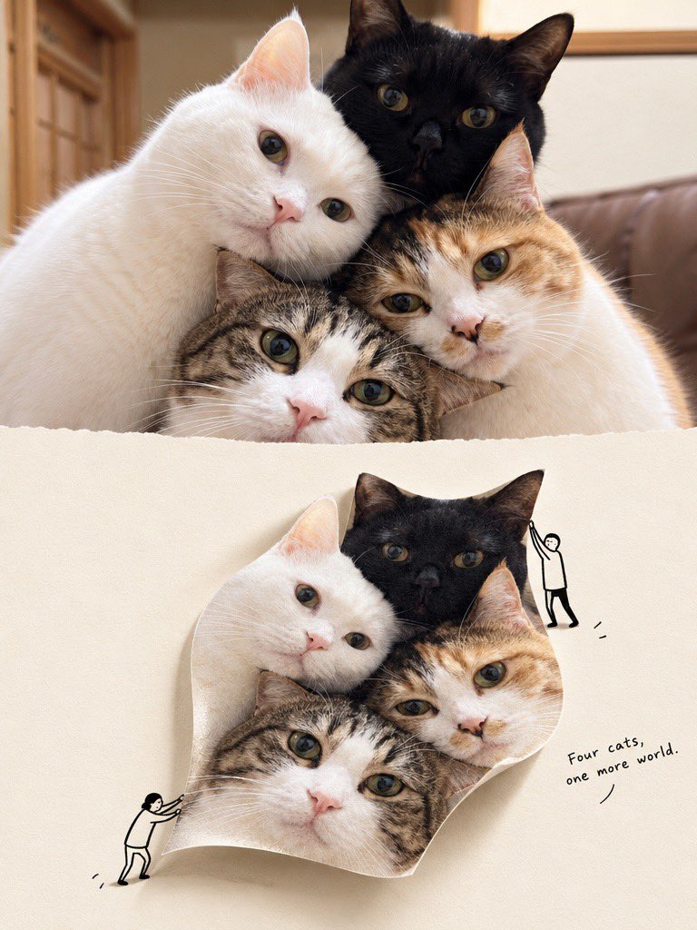 Social Media Post - Second World Editorial Photography Poster