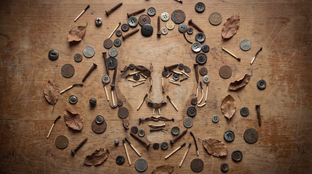 Still-Life Object Portrait Illusion — output 1