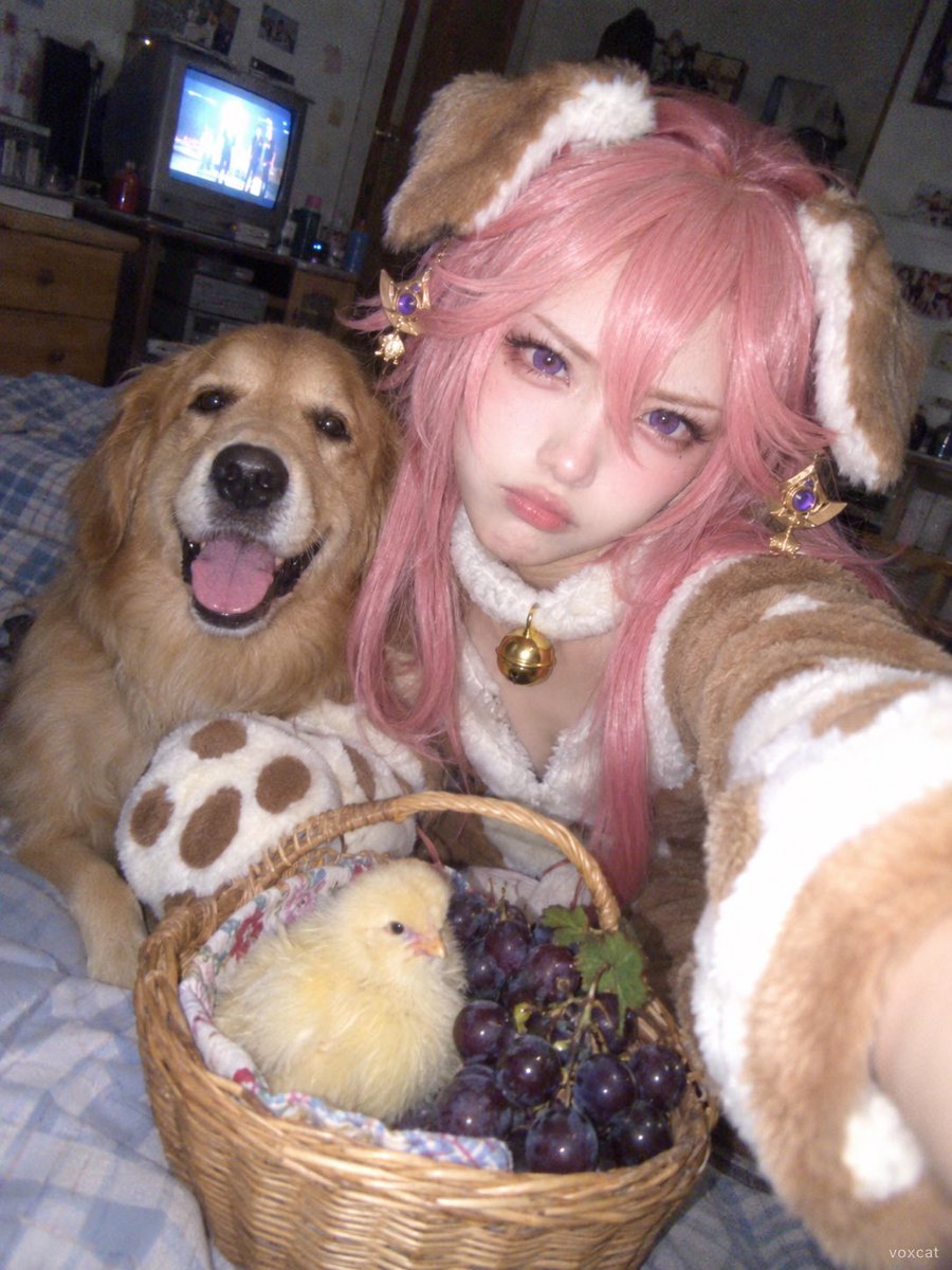 Social Media Post - Old Nokia Selfie Style Dog Cosplay — output 1