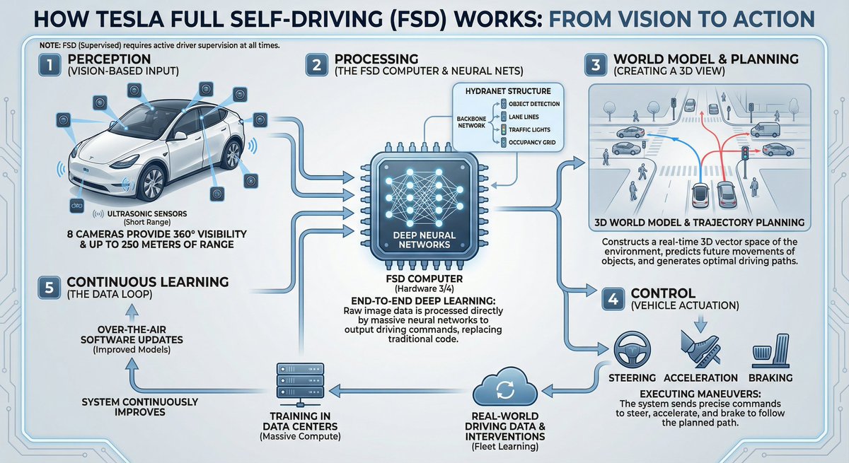 Tesla FSD explainer infographic — output 1