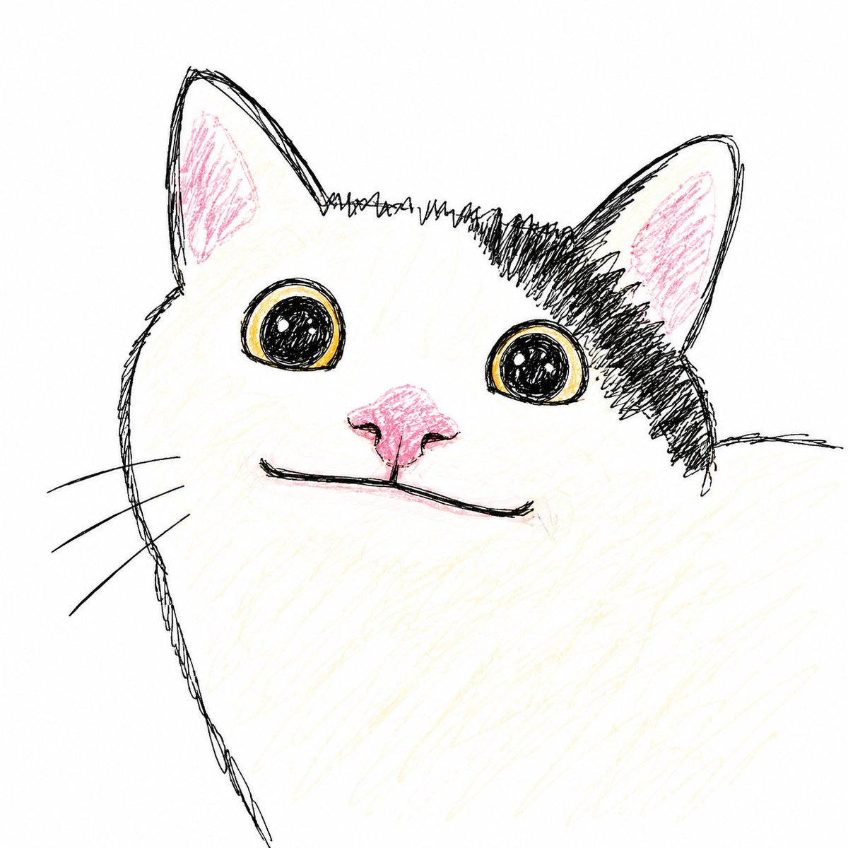 Profile / Avatar - Sloppy Doodle Cat Portrait — output 1