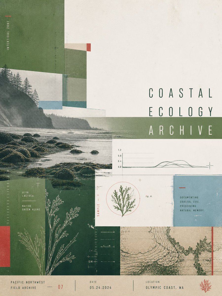 Infographic / Edu Visual - Coastal Ecology Archive Poster — output 1