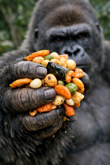 Image Generation Prompt for 'Gorilla's Grasp' — output 1