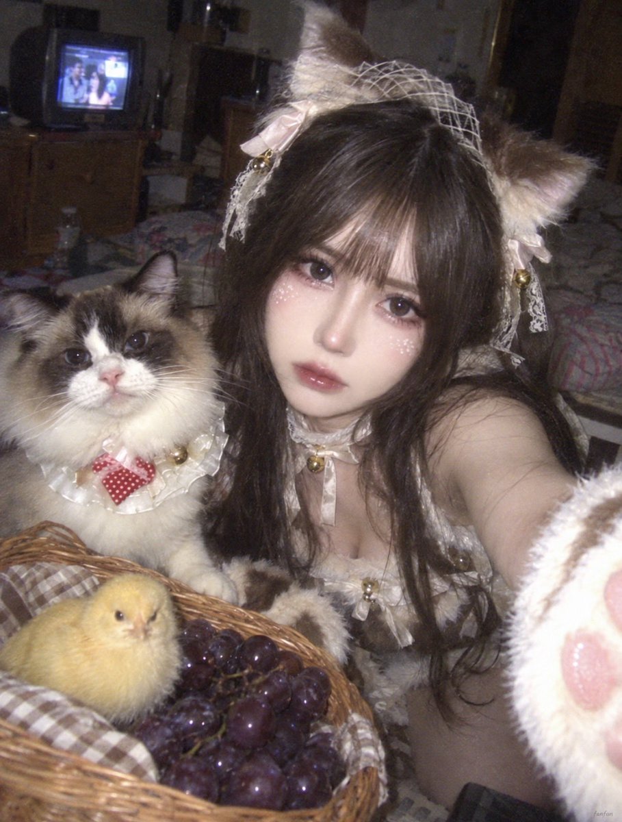 Profile / Avatar - Nokia Phone Selfie with Ragdoll Cat Cosplay — output 1