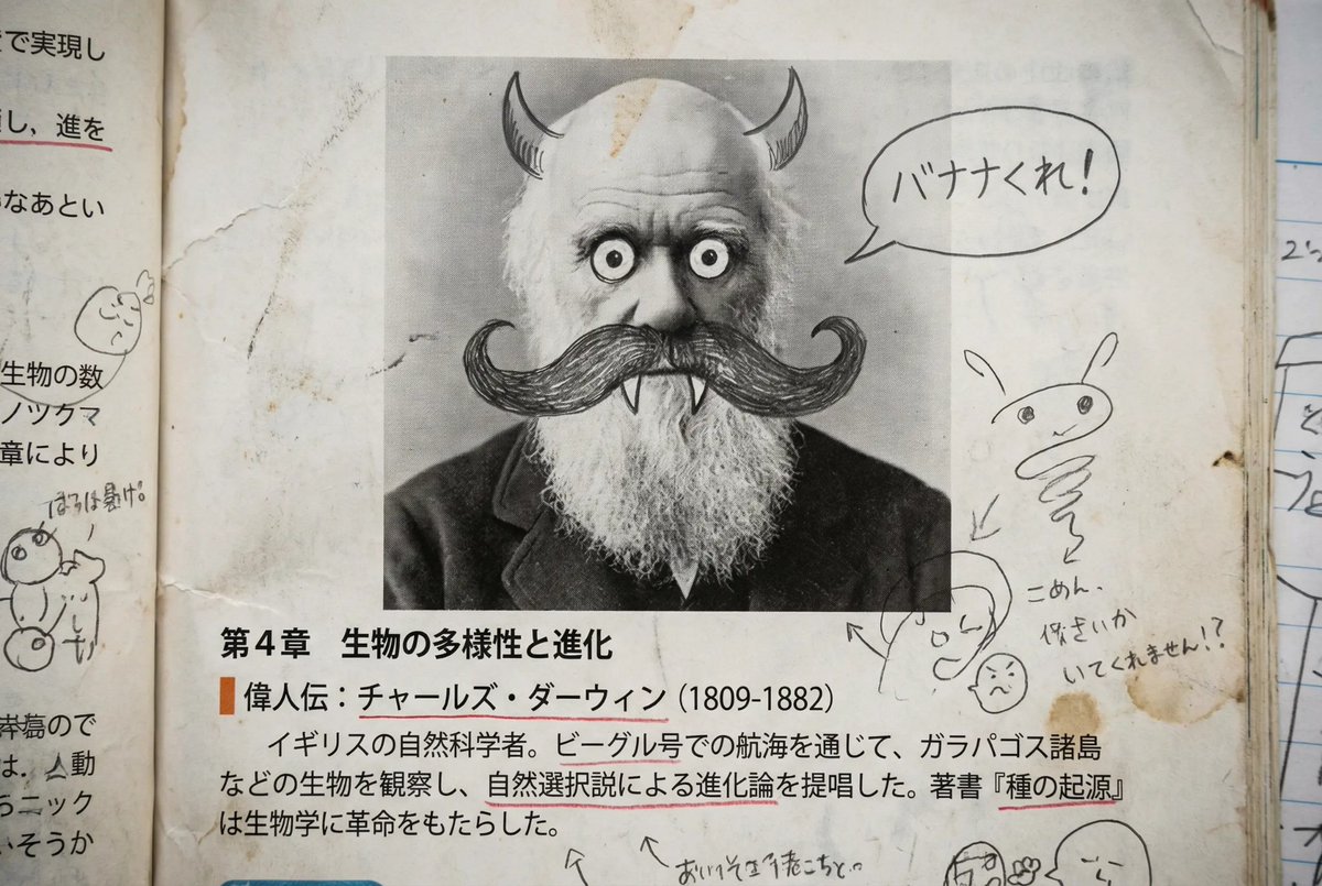 Middle schooler doodles on history textbook pages — output 1