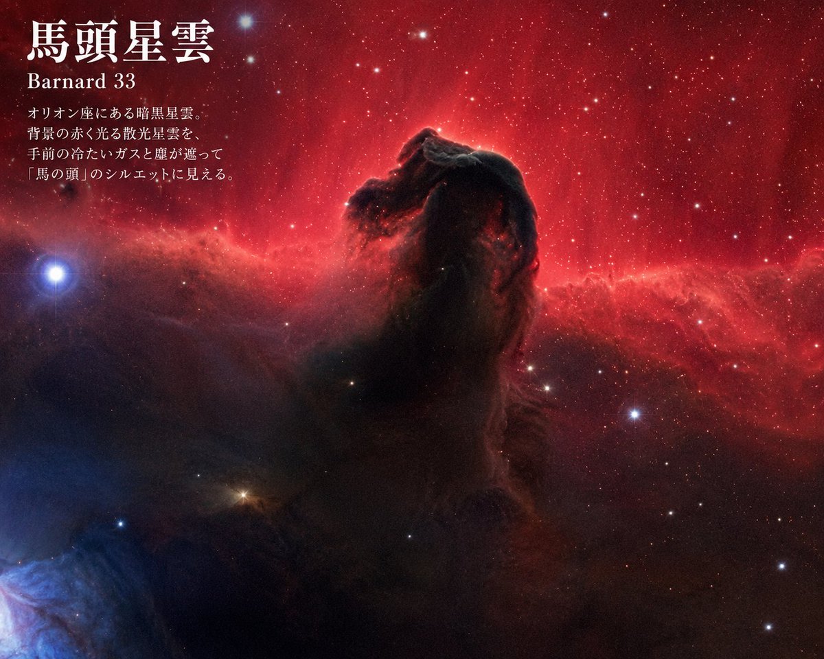 Infographic / Edu Visual - Horsehead Nebula Poster — output 1