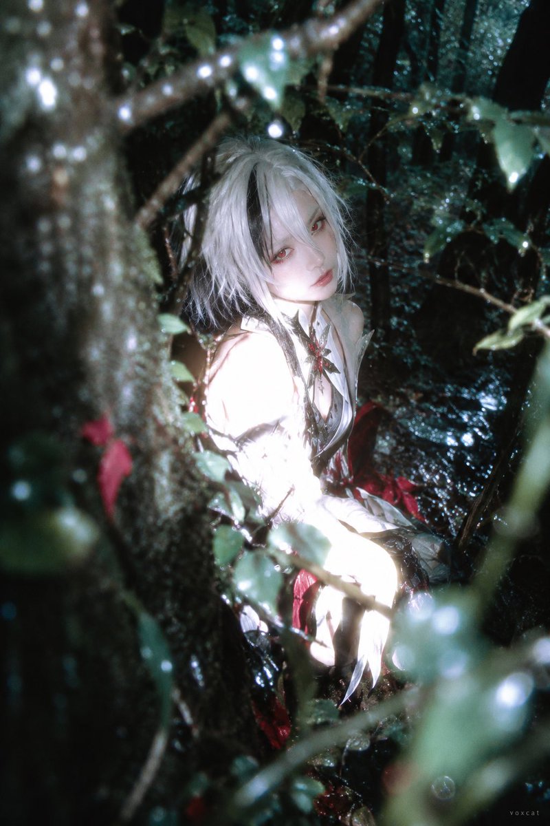 Social Media Post - Forest Flash Photography Portrait — output 1