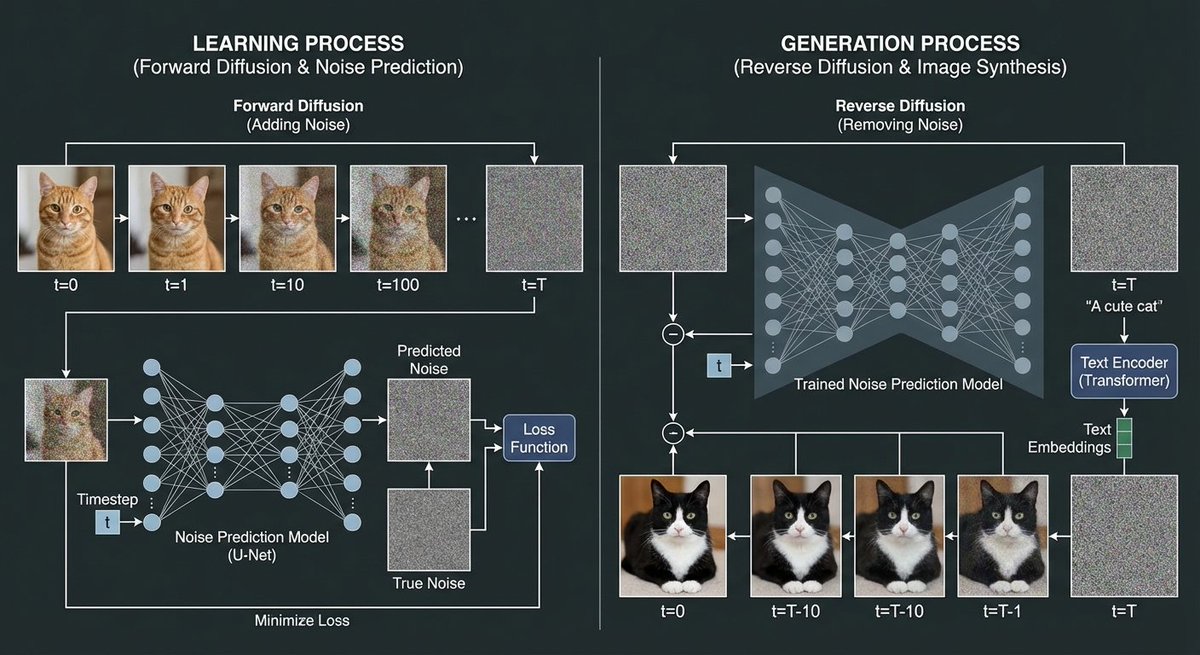 Diffusion model process diagram with cat and noise images — output 1