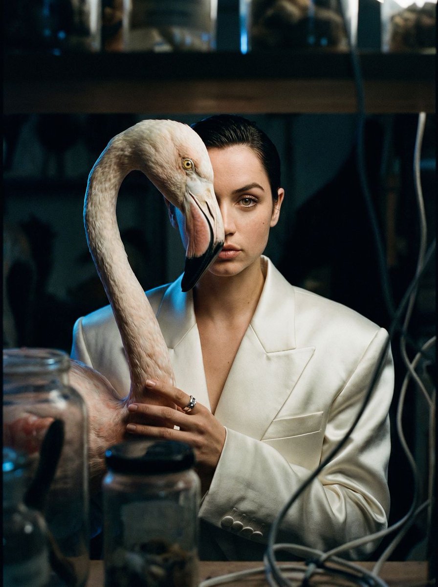 Surrealist Ornithology fashion editorial prompt — output 1